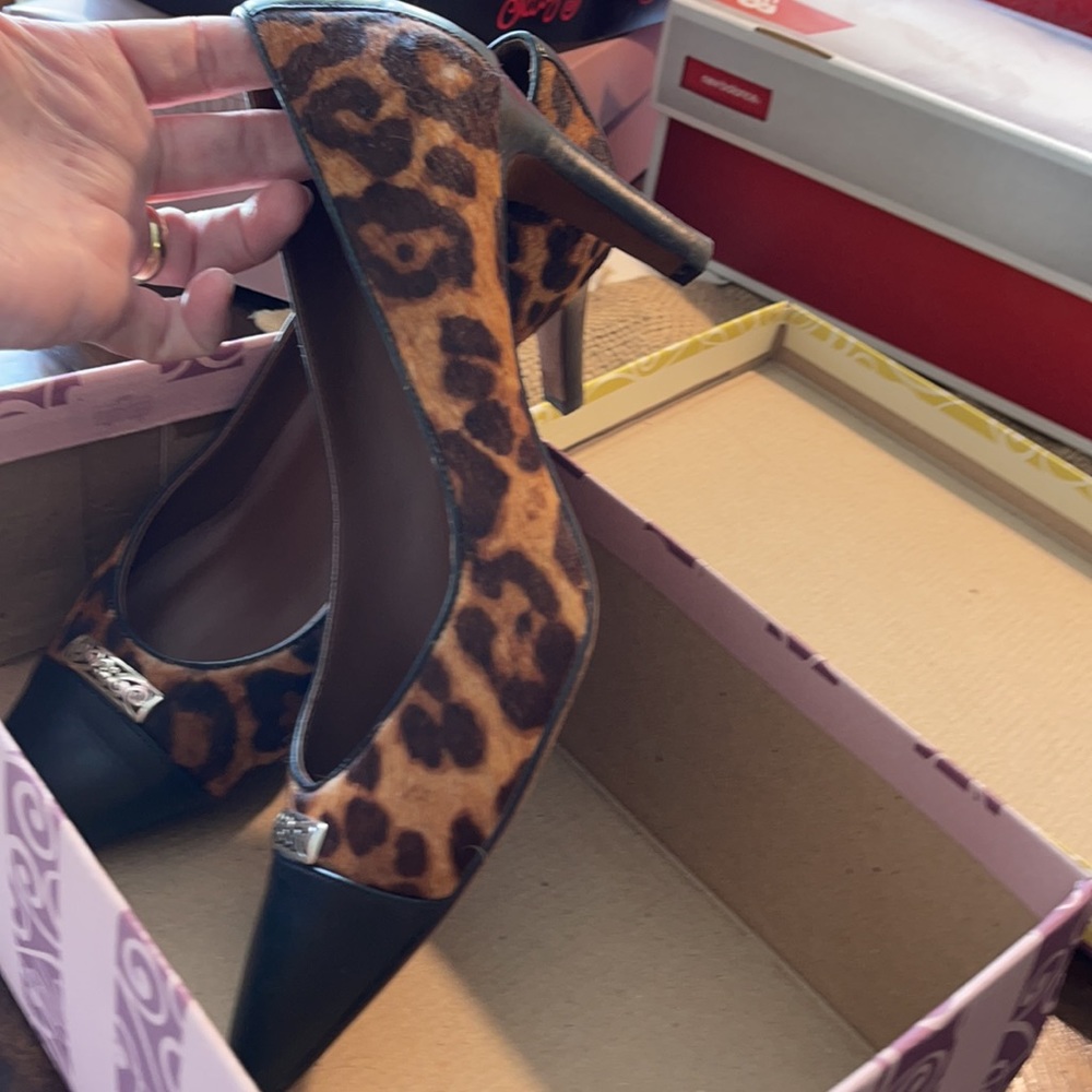 Brighton Leopard Shoes